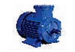 Standard  motors  range  0.18 to  315 ( kw  )
            Frame  63 to  355